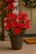 18" Red Poinsettia Bush, Waterproof Artificial Flowers, 14 Bloom Stems for Home Decor, Holiday Arrangements – 2 Pieces